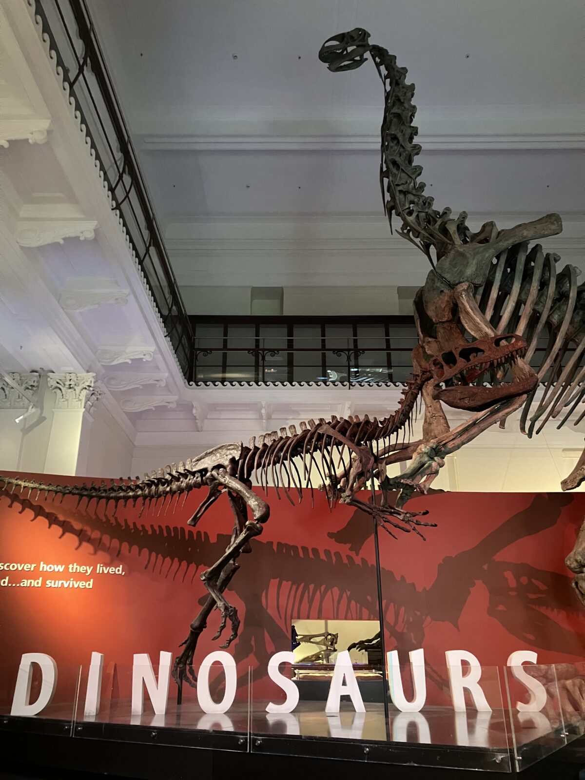 シドニー観光 オーストラリア博物館