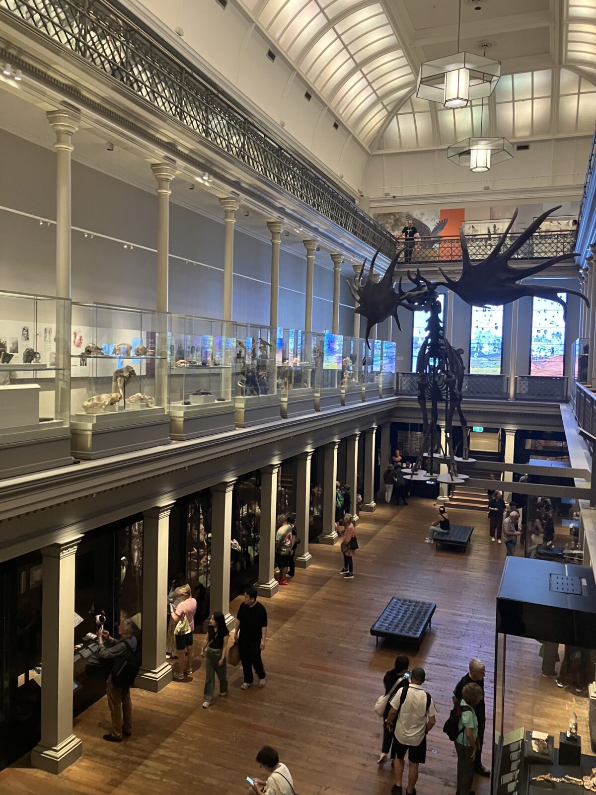 シドニー観光 オーストラリア博物館