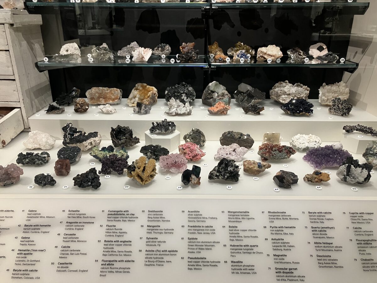 シドニー観光 オーストラリア博物館