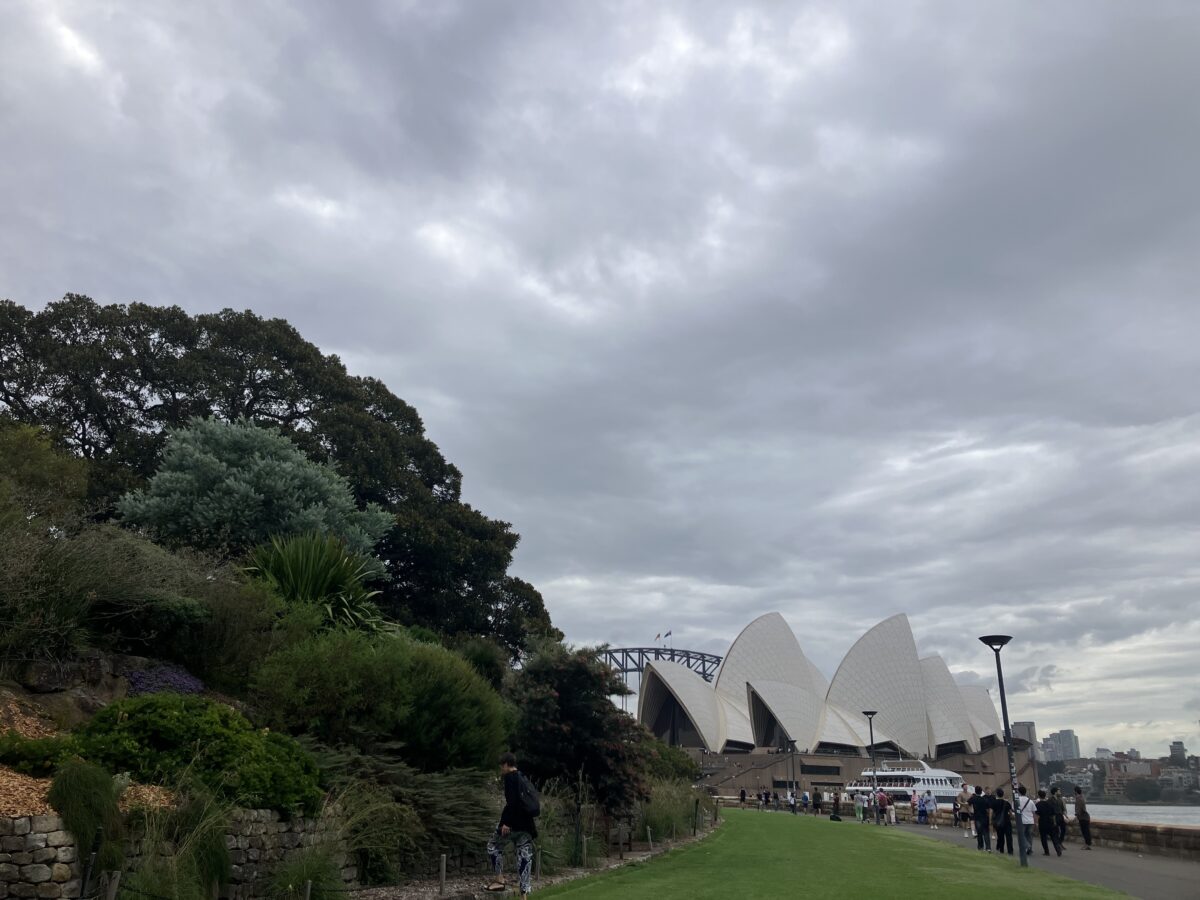 シドニー観光 植物園